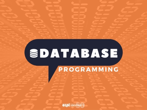 What Should I Know Before Starting a Database Programming Class?