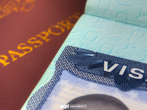 Student Visa Application Process: How does it Work?
