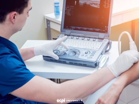 Is Sonography a Good Career: What Kind of Education Will I Need?