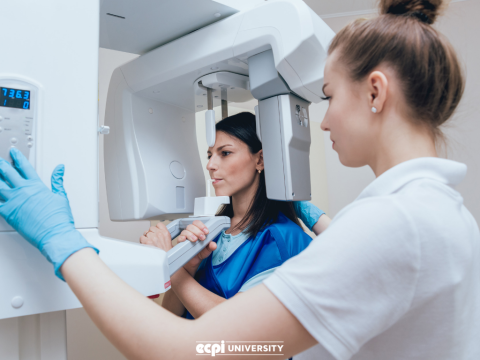 Learning Radiology on the Bachelor's Level: Are You Ready to Move On?