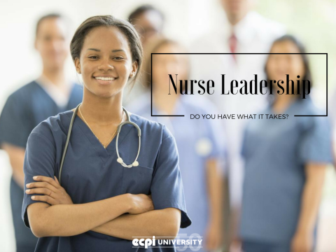 Nurse Leadership Skills: Do You Have what it Takes?