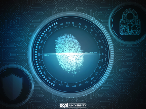 Advice for Prospective Digital Forensics Students: What Do You Need to Know?