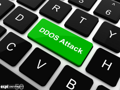 What is a Denial of Service Attack?