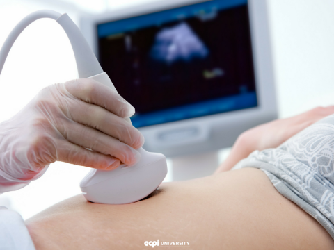 Sonography Student Blogs You Need to be Following