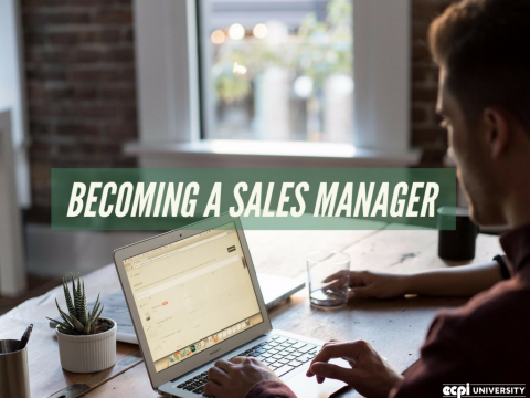 How do you Become a Sales Manager?