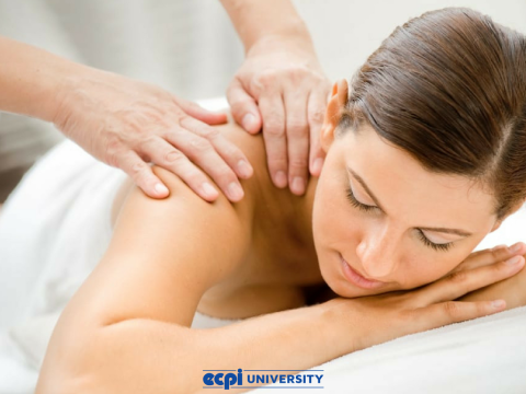 Reasons to Become a Massage Therapist