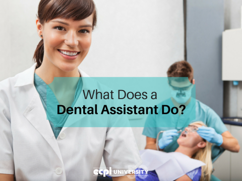 What do Dental Assistants do on a Daily Basis?