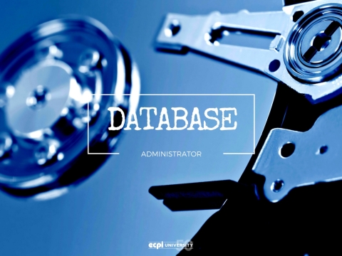What do Database Administrators Do?