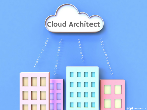 How Much Does a Cloud Architect Make?