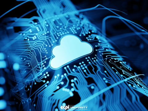 Where is Cloud Computing Going and How Can I Go With It?