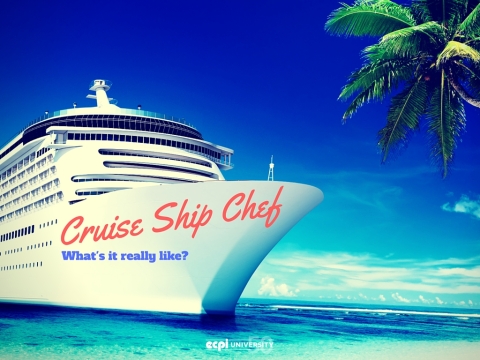 What is it like to Work as a Chef on a Cruise Ship? ECPI University