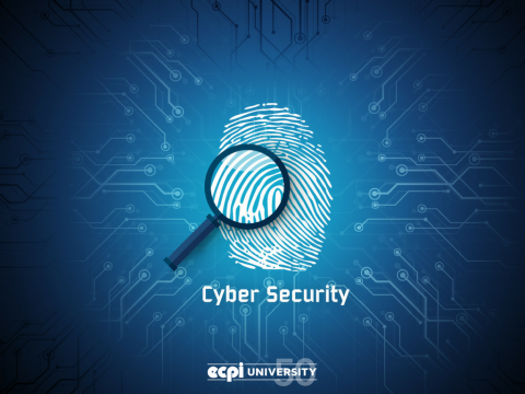 How to Start a Career in Cyber Security