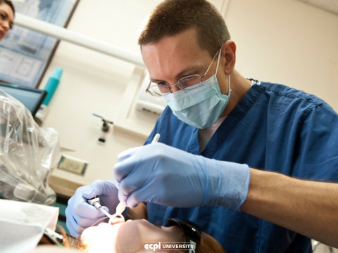What Can you Do as a Dental Assistant?