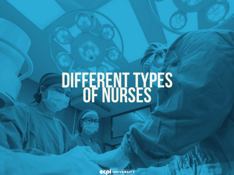 What are the Different Types of Nursing Degrees?