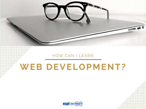 How can I Learn Web Development?