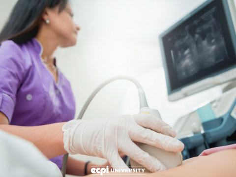 Becoming an Ultrasound Technician: Educational Requirements