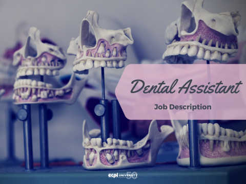 What’s the Job Description for a Dental Assistant?