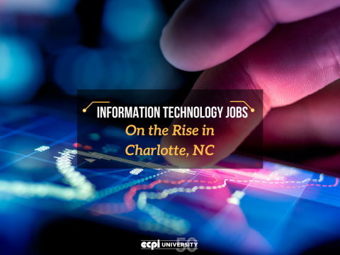 Information Technology Jobs in Charlotte NC are On The Rise!