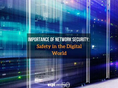 Importance of Network Security: Safety in the Digital World