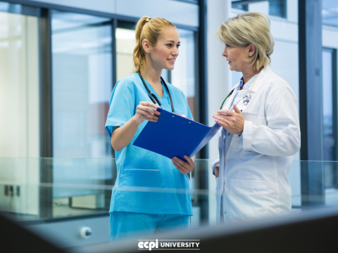 What Should I Major in to Be a Nurse Practitioner?