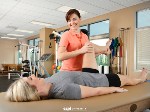 How Do You Like Being a Physical Therapist Assistant?