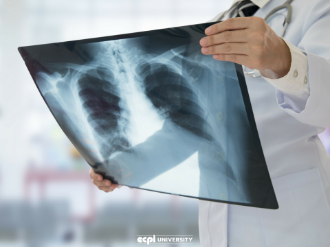 Why does Radiography Interest You?