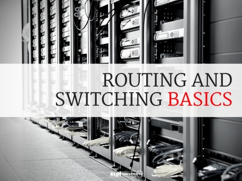 Routing and Switching Basics for Cyber and Network Security