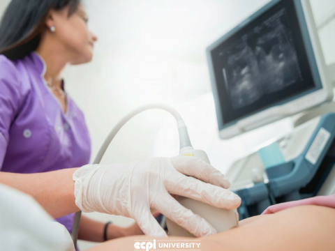 How Long Does Sonography School Take?