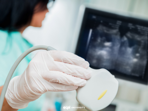 Surprising Jobs of Ultrasound Technologists (Sonographers)