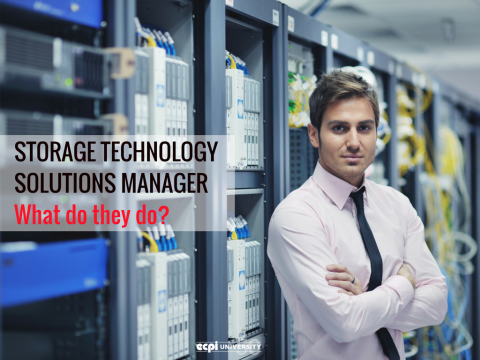 What does a Storage Technology Solutions Manager Do?