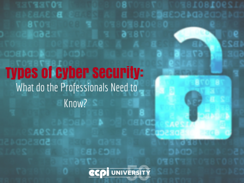 Types of Cyber Security: What do the Professionals Need to Know?