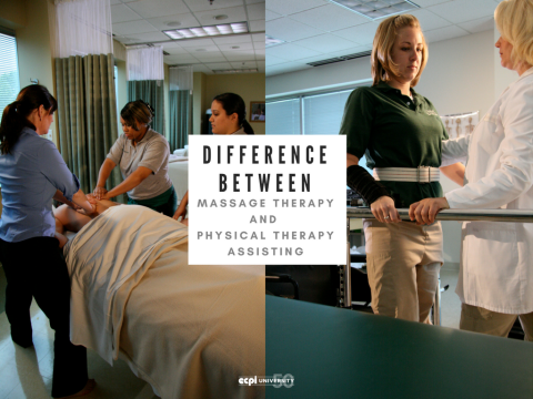 What's the Difference Between Massage Therapy and Physical Therapy Assisting?