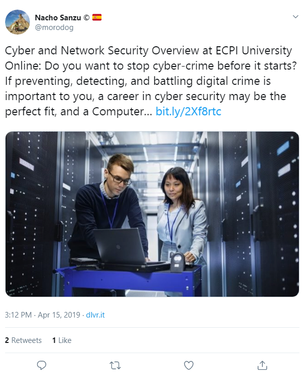 Cyber Security Profession: Is This the Right Choice For You?