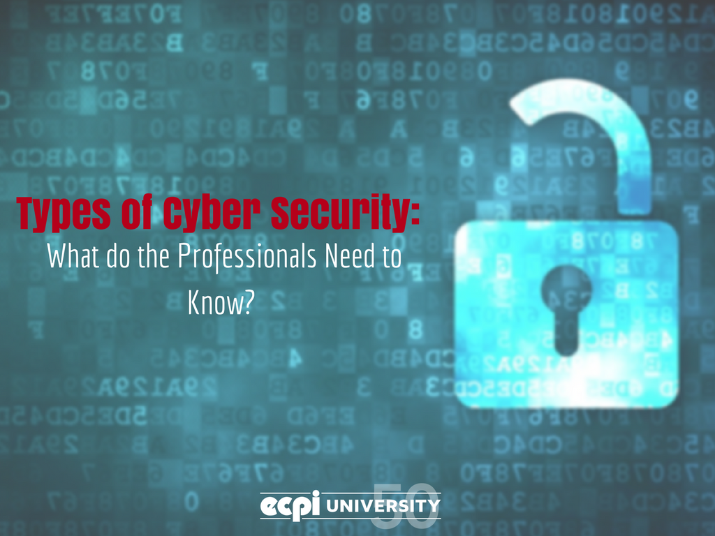Types of Cyber Security: What do the Professionals Need to Know?