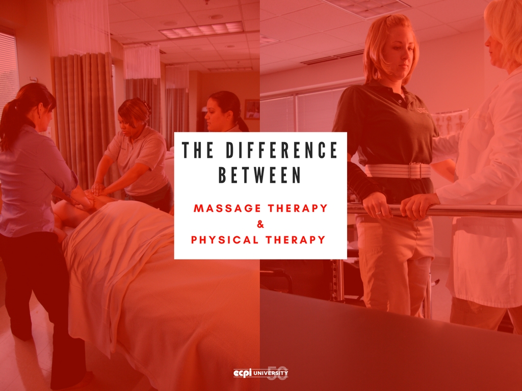 What's the Difference Between Massage Therapy and Physical Therapy Assisting? ECPI University